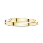 Golden Trio Spark Band