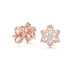 Premium Gold Star Design Diamond Stud Earrings Gift