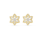 Premium Gold Star Design Diamond Stud Earrings Gift