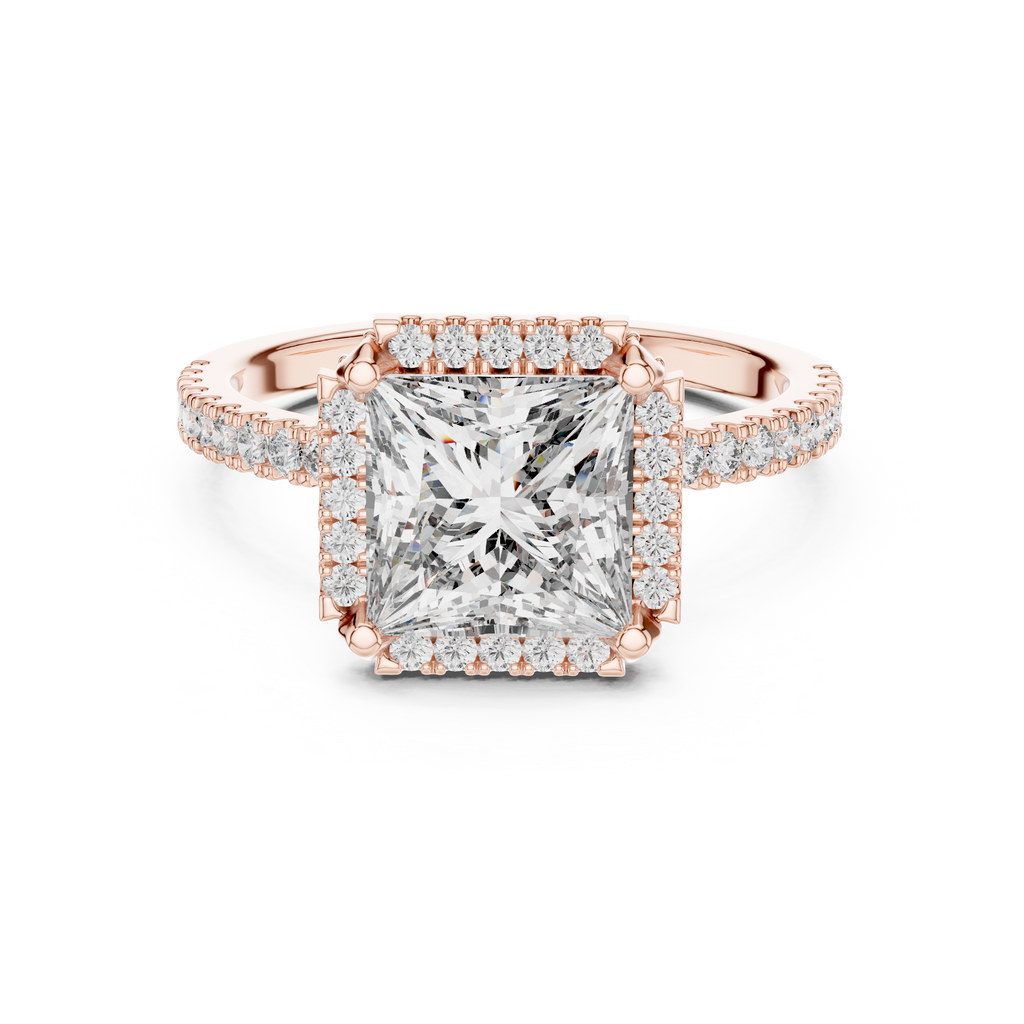 Princess Cut with Brilliant Halo and Sparkling Shank