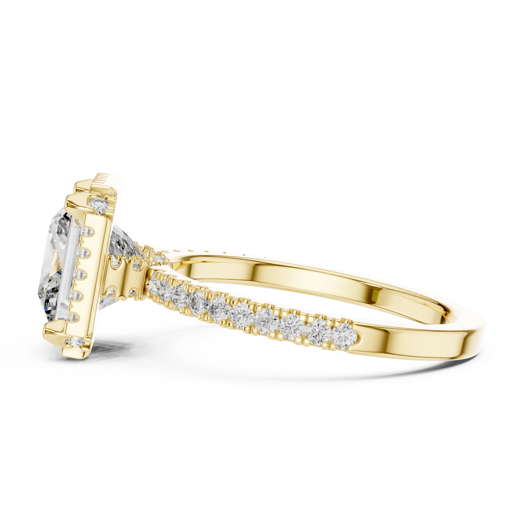 Princess Cut with Brilliant Halo and Sparkling Shank