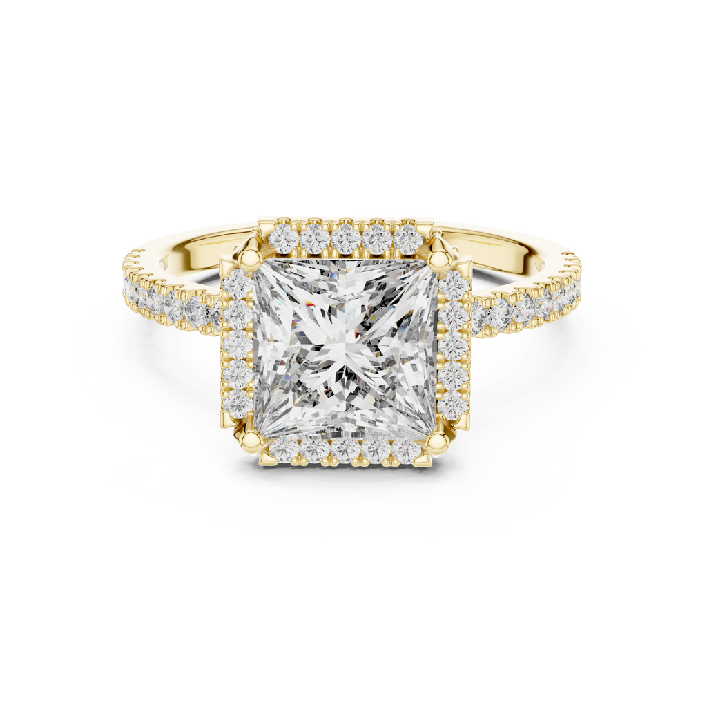 Princess Cut with Brilliant Halo and Sparkling Shank