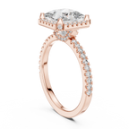 Princess Cut with Brilliant Halo and Sparkling Shank