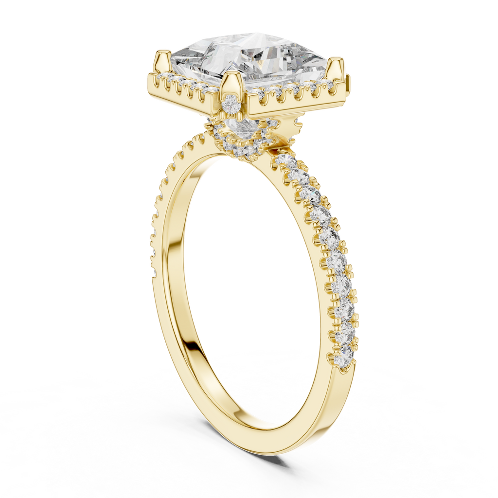 Princess Cut with Brilliant Halo and Sparkling Shank