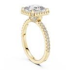 Princess Cut with Brilliant Halo and Sparkling Shank