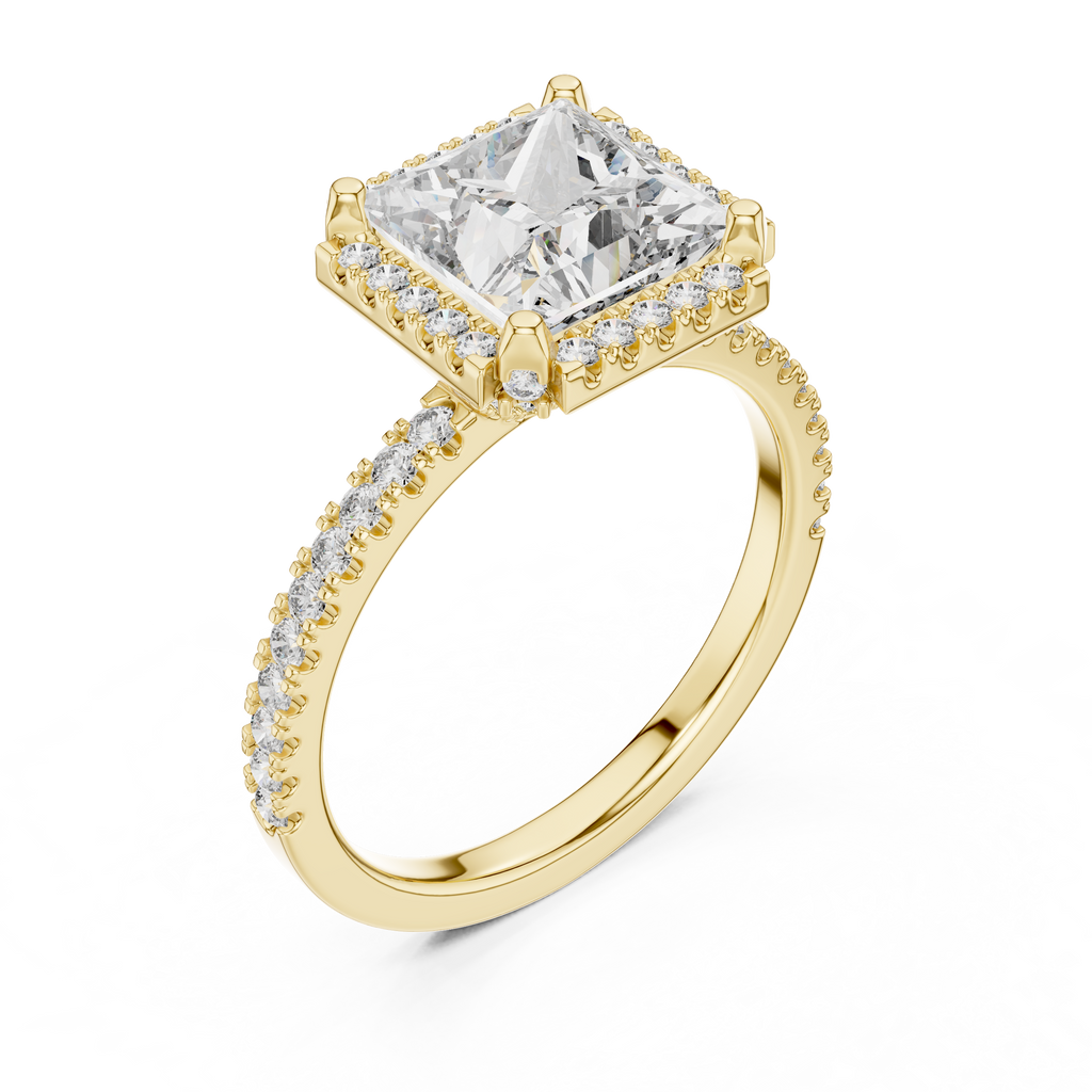 Princess Cut with Brilliant Halo and Sparkling Shank