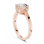 Brilliant Round Diamond in a  Signature