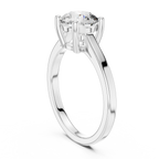 Brilliant Round Diamond in a  Signature