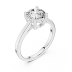 Brilliant Round Diamond in a  Signature