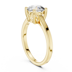 Brilliant Round Diamond in a  Signature