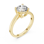 Brilliant Round Diamond in a  Signature