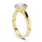 Brilliant Round Diamond in a Seamless Interlaced Cathedral Mount