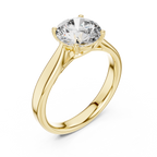 Brilliant Round Diamond in a Seamless Interlaced Cathedral Mount