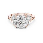 Brilliant Round Diamond with Botanical Marquise Diamond Shoulders
