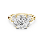 Brilliant Round Diamond with Botanical Marquise Diamond Shoulders